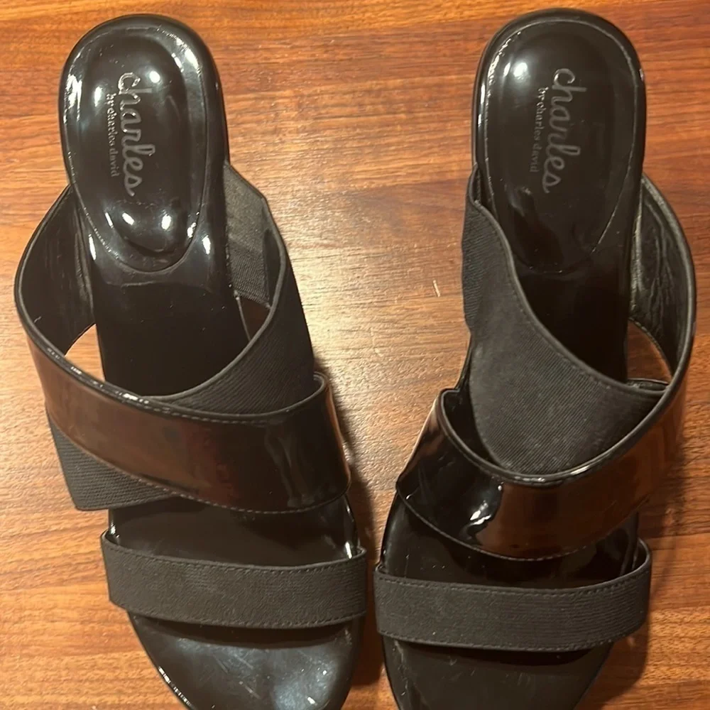 CHARLES BY CHARLES DAVID
Fefe Platform Wedge Sandals - Size 9 - Picture 2 of 4